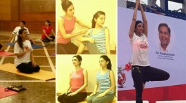 yoga day, international yoga day, shilpa shetty, amrita rao, kirron kher, anupam kher, sarah jane dias, sidharth malhotra, hema malini, vir das, nimrat kaur, boman irani, juhi chawla, entertainment news