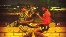 Kaaka Muttai, Kaaka Muttai box office, Kaaka Muttai movie, Kaaka Muttai collection, Kaaka Muttai cast, entertainment news