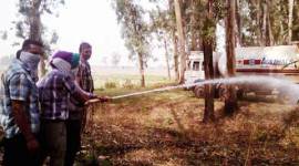 ludhiana gas leak, ludhiana ammonia leak, ludhiana news, punjab gas leak, punjab news, punjab ammonia leak, latest news, india news, india agas leak,