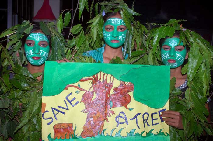 Environment Day, world environment day, environment day 2015, Environment Day news, world environment day 2015, pollution level in delhi, environment pollution, Environment Day Pune, Environment Day india