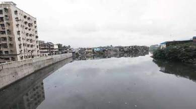 mpcb, mithi river, river pollution, mithi river pollution, mumbai river pollution, mumbai river, mumbai river pollution, mumbai river cleanup, mpcb river cleanup, mumbai news, india news