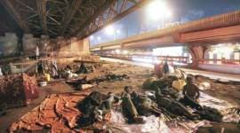 mumbai-homeless-thumb homeless, mumbai, mumbai homeless, homeless mumbai, homeless in mumbai, homeless people in mumbai, street dwellers, mumbai street dwellers, mumbai news, india news