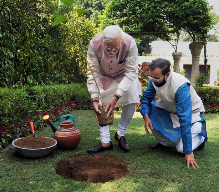 World Environment Day, Narendra Modi, Arvind Kejriwal, Virat Kohli, Sachin Tendulkar, Rohit Sharma, Ajinkya Rahane, Sushil Kumar, Prakash Javadekar, Rajendra Kumar Tiwari, New Delhi, Allahabad, tree plantation programme, Narendra Modi plant Saplings, Arvind Kejriwal plant saplings, Virat Kohli Plant Saplings, Sachin Tendulkar plant Saplings