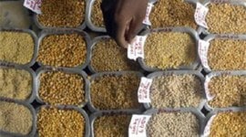 j&K govt, j&K ration, j&K ration schemes, Jammu Kashmir govt schemes, J&K govt schemes, jammu ration, kashmir ration, ration schemes, india news