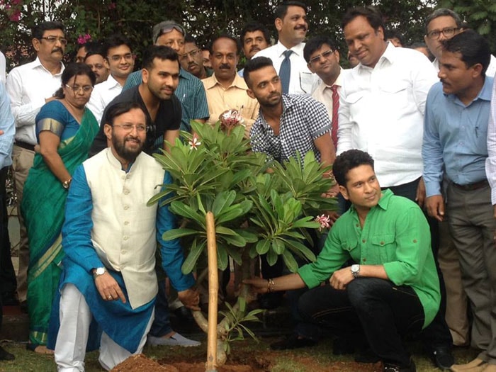 World Environment Day, Environment Day, Environment, Sachin Tendulkar, Virat Kohli, Kohli, Tendulkar, Rohit Sharma, Sushil Kumar, Cricket, Sports Photos, Environment Day photos