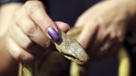 snake venom, smuggling snake venom, snake venom smuggler, snake venom smugglers arrested, snake venom smuggleg bengal, west bengal news, india news, indian express