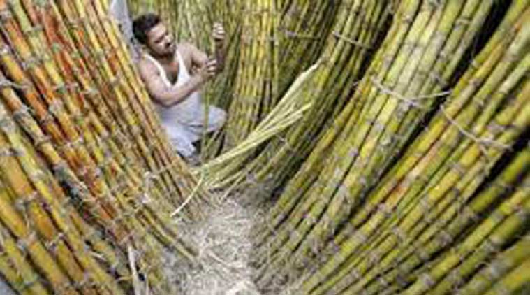 central loan, sugar mill NOC, NOC, Sugar commissionerate, mumbai news, maharashtra news, Indian Express