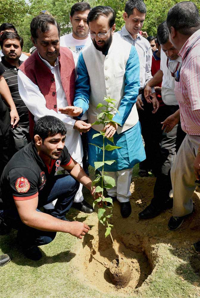 World Environment Day, Environment Day, Environment, Sachin Tendulkar, Virat Kohli, Kohli, Tendulkar, Rohit Sharma, Sushil Kumar, Cricket, Sports Photos, Environment Day photos