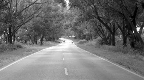 Here’s why trip back home feels shorter in hindsight