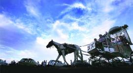 horse-drawn carriages, mumbai horse-drawn carriages, bombay horse-drawn carriages, victoria carriages, mumbai victoria carriages, horse-drawn victoria carriages, mumbai news, india news, indian express news #Explained