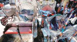 horse carriage ban, mumbai horse carriage ban, victoria ban, victorias, mumbai victoria ban, maharashtra victoria ban, maharashtra horse drawn carriage ban, peta, mumbai news, india news