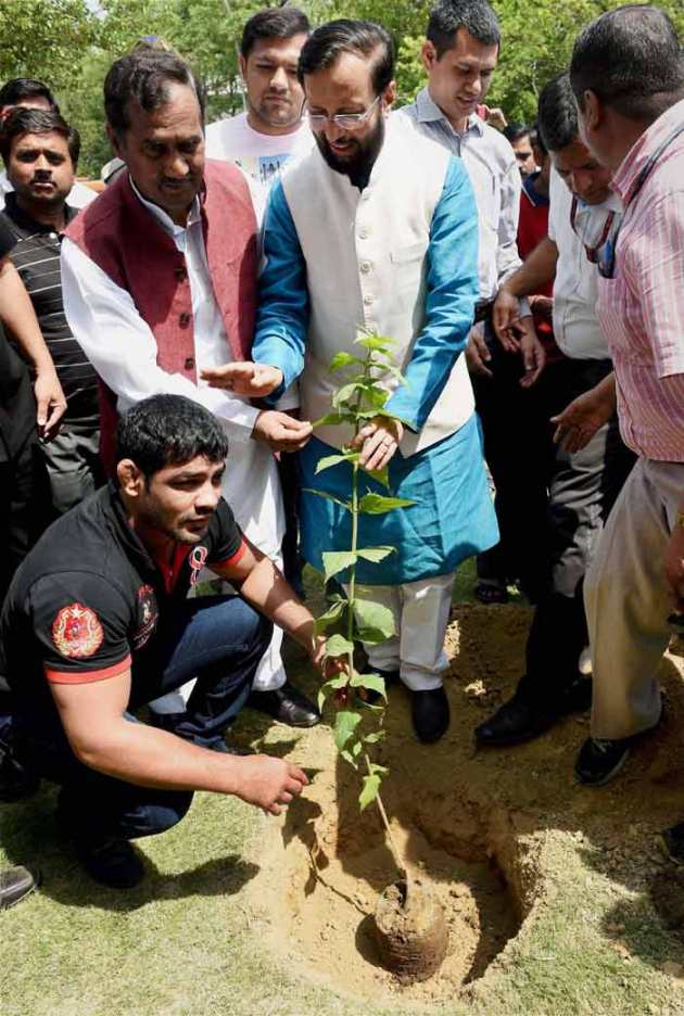 World Environment Day, Narendra Modi, Arvind Kejriwal, Virat Kohli, Sachin Tendulkar, Rohit Sharma, Ajinkya Rahane, Sushil Kumar, Prakash Javadekar, Rajendra Kumar Tiwari, New Delhi, Allahabad, tree plantation programme, Narendra Modi plant Saplings, Arvind Kejriwal plant saplings, Virat Kohli Plant Saplings, Sachin Tendulkar plant Saplings