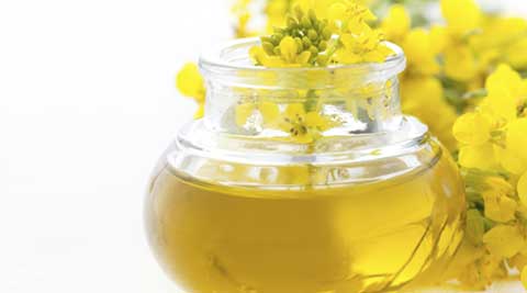 Is Canola Oil Healthy For You 10 Facts And 7 Recipes You Might Be Interested In Lifestyle News The Indian Express