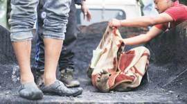 Landslide, Darjeeling landslide, Darjeeling landslide deaths, Darjeeling landslide incidents, landslides darjeeling, landslide deaths, landslide deaths in Darjeeling, Darjeeling latest news, India latest news