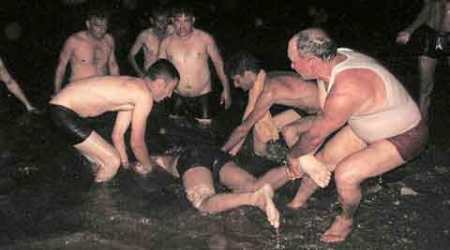 Air foece oficers drown, Indian Air Force, Shamli village, Mukhpal Singh Chahal, Vikas Kumar, K Kumar, Barwala Air Force Station, Chandigarh news