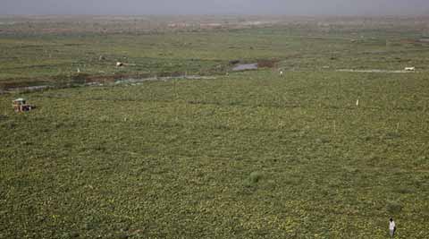 Karanataka land bill, land acquisition bill, Karnataka land acquisition bill, Karnataka land amendment, Karnataka land reforms, karnataka non agricultural land, karnataka news, india news, latest news, top stories