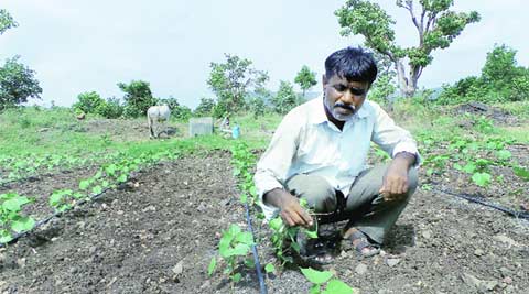 land development bank, pune land development bank, pune bank, pune farmers, pune news, india news