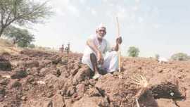 maharshtra, farmer, farmer suicide, farmer suicide maharashtra, maharshtra news, india news