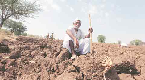 maharshtra, farmer, farmer suicide, farmer suicide maharashtra, maharshtra news, india news