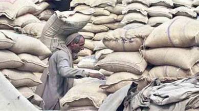 cold food storage, food storage, food, storage, india food storage, india cold food storage, india news cold food storage, new cold food storage, crops, food, rice, wheat, india crops, india crop storage, india news