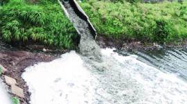 Green kumbh, ghats, polluted ghats, polluted kumbh ghats, pollution, pollution control, pollution control meausres, nashik kumbh mela, kumbh mela, mumbai news, city news, local news, maharashtra news, Indian Express