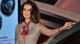 Kangana Ranaut, I Love NY, Kangana Ranaut movies, Kangana Ranaut Sunny deol movie, Kangana I Love NY