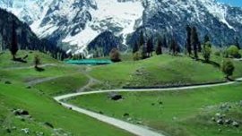 Jammu and Kashmir, J&K constitution, Article 370, J&K permanent residents, RSS, J&K Study Centre, J&K Article 370, Kashmiri Pandits, Maharaja Hari Singh, RSS leader Arun Kumar, Article 35A, J&K latest news, India latest news