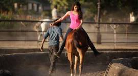 Mirzya, Harshvardhan Kapoor, Saiyami Kher, Rakeysh Omprakash Mehra, mirziya movie, mirziya cast, mirziya upcoming movie, entertainment news