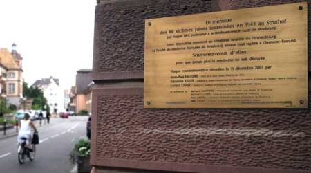 nazi experiments, Strasbourg, Holocaust, Adolf Hitler, Germany Nazi, France, Holocaust victims, nazi remains, world news