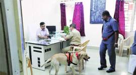 Sambhaji Brigade, bomb, explosives, Vishrambag police, india news, news