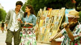 Shah Rukh Khan, Shah Rukh Khan dilwale, Shah Rukh Khan news, Shah Rukh Khan films, Shah Rukh Khan movies, Shah Rukh Khan dilwale, dilwale movie, dilwale, dilwale film