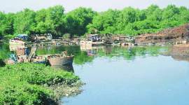 contaminated water, impure water, Chhattisgarh water contamination, nal jal yojna, india news, news