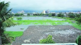 National Green Tribunal, NGT, Coastal Regulation Zone, mumbai govt, maharashtra govt, CRZ, environment, environmental degradation, mumbai news