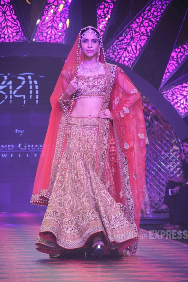 IIJEW model, IIJW 2015