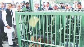 akhilesh-yadav-thumb etawah, etawah safari, lions safari, girishma, akhilesh yadav, samajwadi party, lion safari, safari, india news