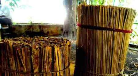 bamboo industry, maharashtra bamboo industry, maharashtra tribes, maharashtra tribal development, maharashtra cottage industries, maharashtra news, india news, indian express