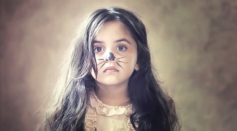 India at Toronto International Film Festival