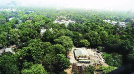 Lutyen’s Bungalow Zone, LBZ, DUAC, house rate, delhi house rate, delhi news, indian express