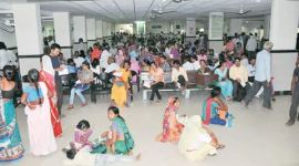 dengue, dengue cases, dengue deaths, dengue india, dengue delhi, dengue in delhi, dengue in gurgaon, dengue mosquito, dengue disease, dengue prevention, delhi news, india news