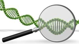 DNA data bank, SC, DNA Profiling Bill, Deoxyribonucleic acid, NGO Lokniti Foundation, Human DNA Profiling Bill, Parliament Monsoon Session, indian express, #Explained, Nation news