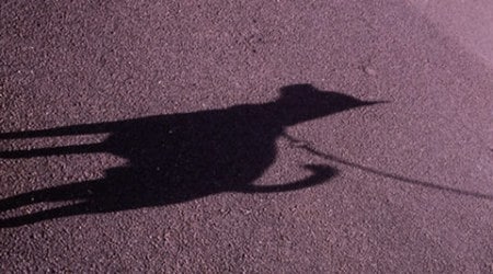 Safdarjung, Safdarjung dog row, Humayunpur village, Humayunpur park, Humayunpur park dog row, delhi news