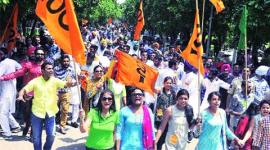 pu students' election, pu election, PUCSC , students election, chandigarh news, indian express