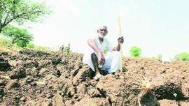 farmer, drought, madhya pradesh drought, madhya pradesh farmers, drought hit farmers, india news, latest news