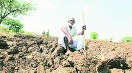 farmer, drought, madhya pradesh drought, madhya pradesh farmers, drought hit farmers, india news, latest news