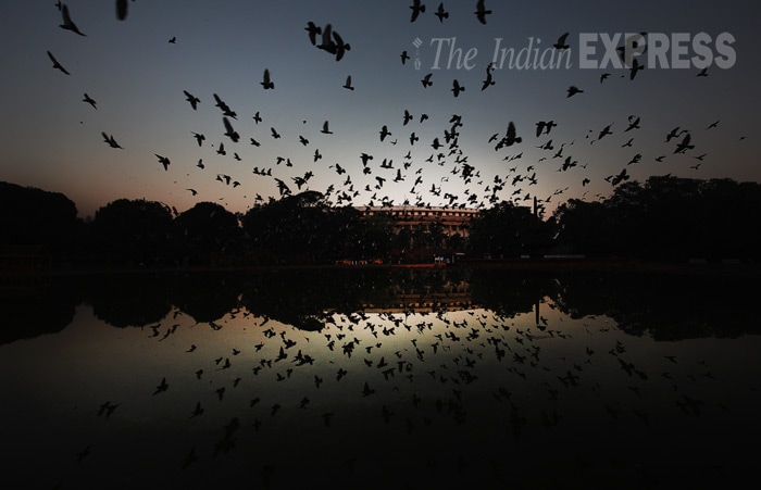 World Photography Day, indian Express, Indian Express Photos, Express Photo, Express Archives, Indian Express Archives, World Photos, Abstract Photography, India Photos, Delhi Photos, Best Pictures, Best photos, Best photos in world, best pictures in the world, Indian express Photographers, Express Photographers