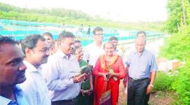 greengove-2 greengove