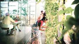 Rahul Mehrotra, Interview, Architect, Conservationist, Kumbh Mela book, urban landscapes, Green Wall, Social house, EYE