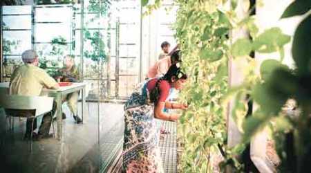 Rahul Mehrotra, Interview, Architect, Conservationist, Kumbh Mela book, urban landscapes, Green Wall, Social house, EYE