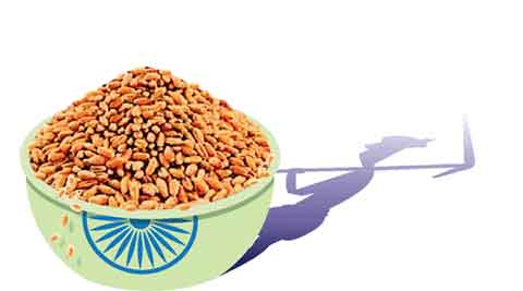 indian independence day, Bangladesh, socialist, Public Law 480, Green Revolution, Cotton production, Amul, Anand Milk Union Limited, india news, indian express columns