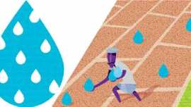 ground water, ground water recharge, salinity of water, Bay of Bengal, Indian farmers, farmers irrigation, irrigation technique, water dams, dams in India, indian express